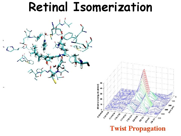 Retinal Isomerization Twist Propagation 