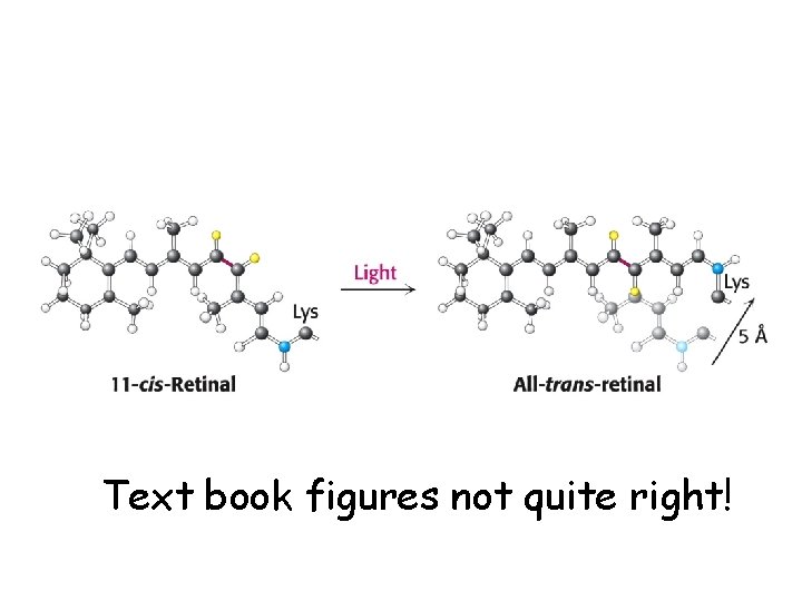 Text book figures not quite right! 