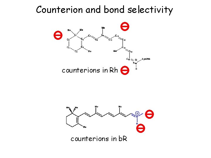 Counterion and bond selectivity counterions in Rh counterions in b. R 