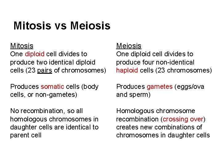 Mitosis vs Meiosis Mitosis Meiosis One diploid cell divides to produce two identical diploid