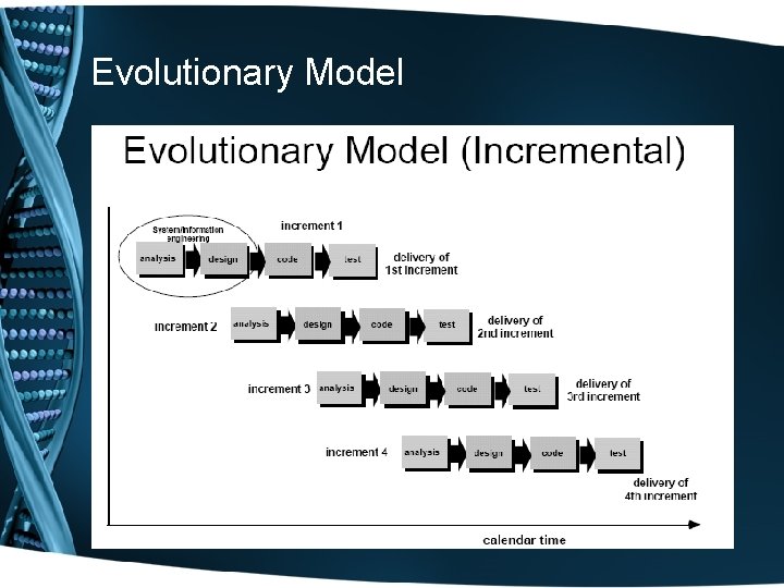 Evolutionary Model 