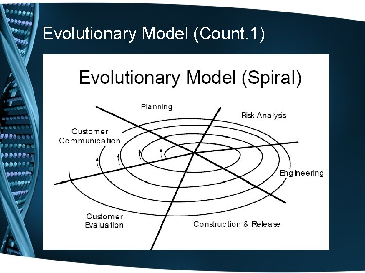 Evolutionary Model (Count. 1) 