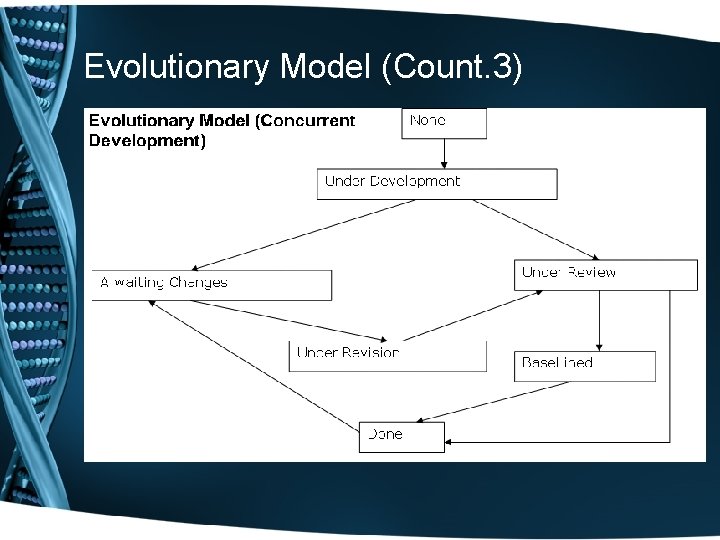 Evolutionary Model (Count. 3) 