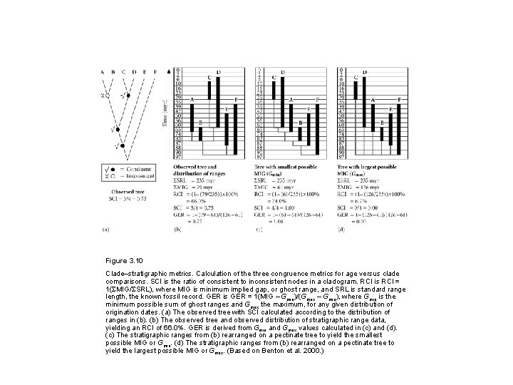 Figure 3. 10 Clade–stratigraphic metrics. Calculation of the three congruence metrics for age versus