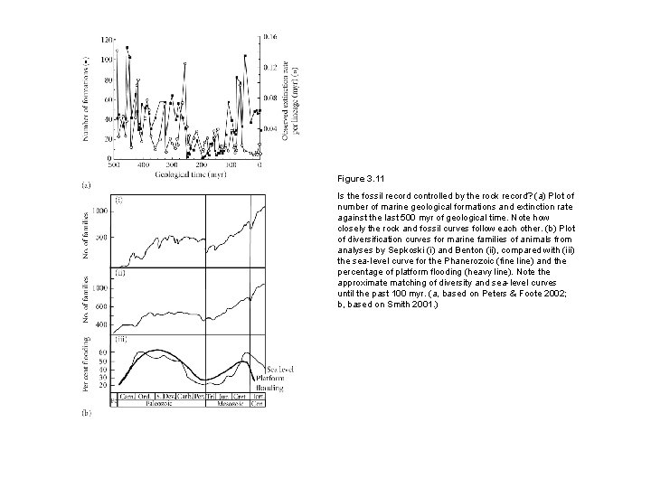 Figure 3. 11 Is the fossil record controlled by the rock record? (a) Plot