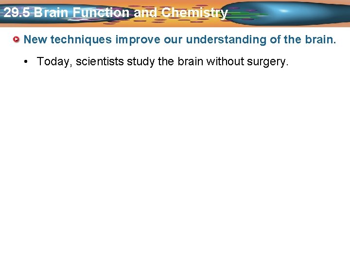 29. 5 Brain Function and Chemistry New techniques improve our understanding of the brain.
