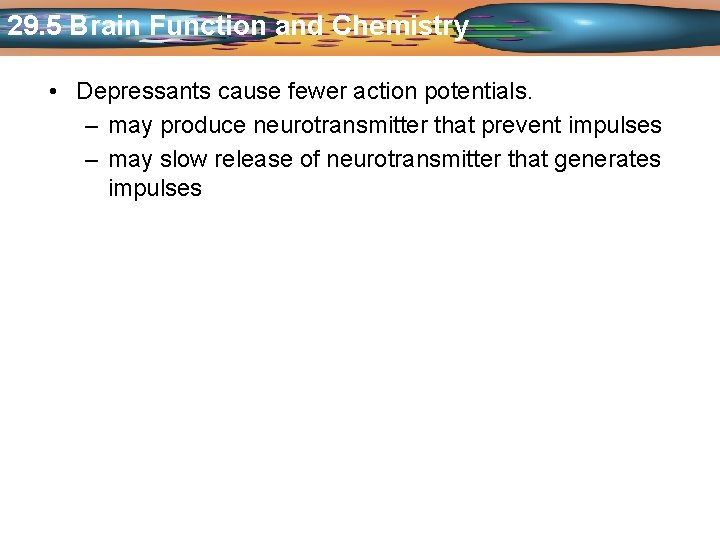 29. 5 Brain Function and Chemistry • Depressants cause fewer action potentials. – may