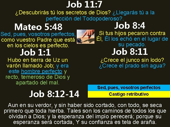 Job 11: 7 ¿Descubrirás tú los secretos de Dios? ¿Llegarás tú a la perfección