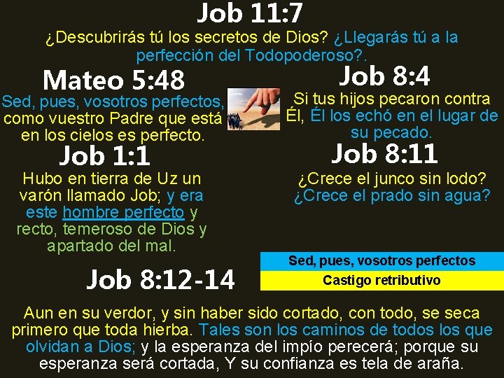 Job 11: 7 ¿Descubrirás tú los secretos de Dios? ¿Llegarás tú a la perfección