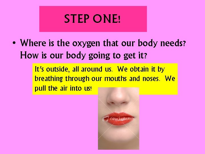 STEP ONE! • Where is the oxygen that our body needs? How is our