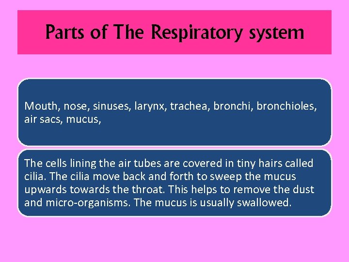 Parts of The Respiratory system Mouth, nose, sinuses, larynx, trachea, bronchioles, air sacs, mucus,