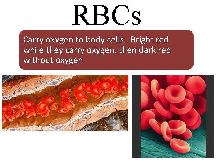 RBCs Carry oxygen to body cells. Bright red while they carry oxygen, then dark