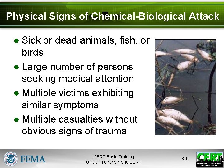 Physical Signs of Chemical-Biological Attack ● Sick or dead animals, fish, or birds ●