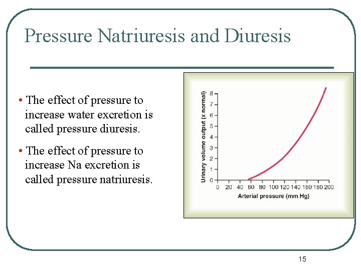 Pressure Natriuresis and Diuresis • The effect of pressure to increase water excretion is Pressure Natriuresis and Diuresis • The effect of pressure to increase water excretion is