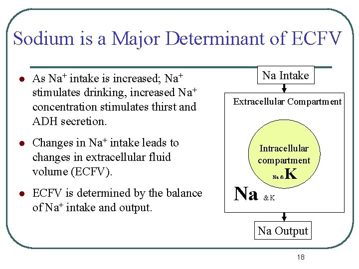 Sodium is a Major Determinant of ECFV l l l As Na+ intake is Sodium is a Major Determinant of ECFV l l l As Na+ intake is