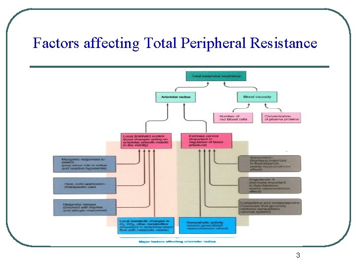 Factors affecting Total Peripheral Resistance 3 Factors affecting Total Peripheral Resistance 3
