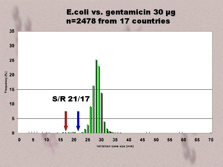 E. coli vs. gentamicin 30 µg n=2478 from 17 countries S/R 21/17 