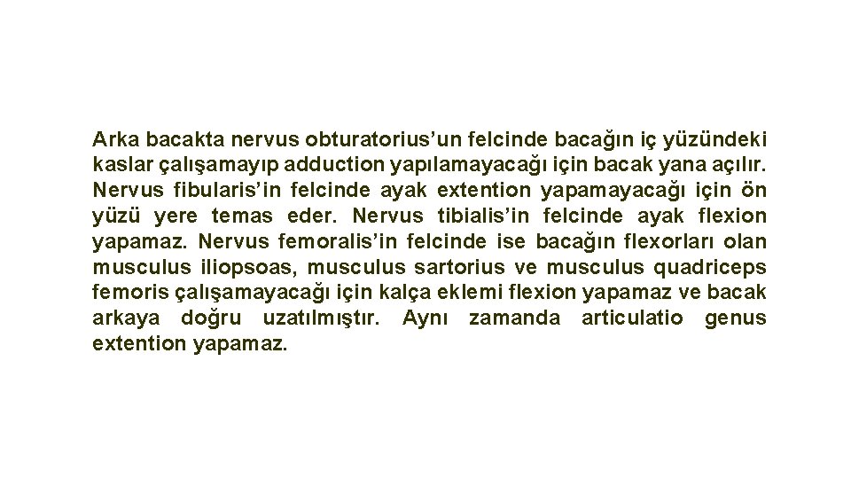 Arka bacakta nervus obturatorius’un felcinde bacağın iç yüzündeki kaslar çalışamayıp adduction yapılamayacağı için bacak