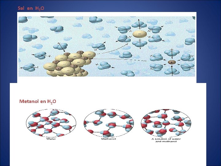 Sal en H 2 O Metanol en H 2 O Sal en H 2 O Metanol en H 2 O