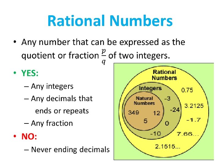 Rational Numbers • 