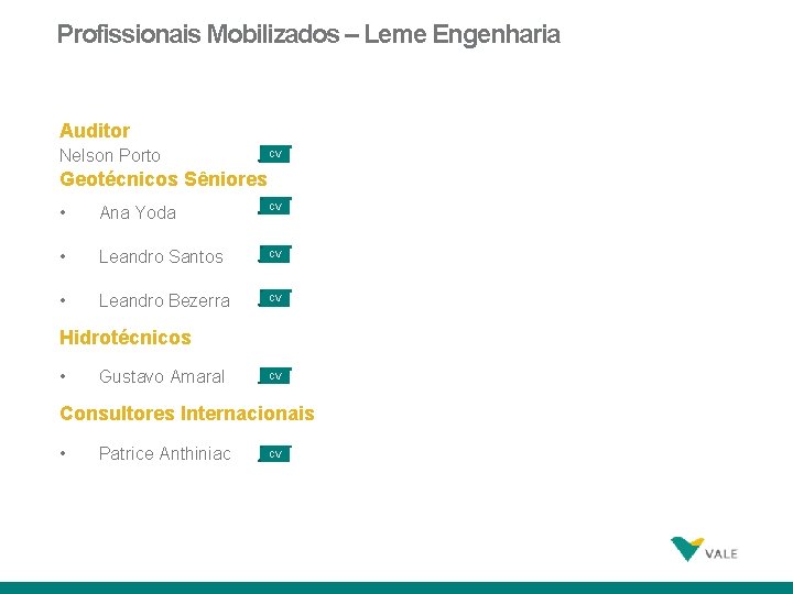 Profissionais Mobilizados – Leme Engenharia Auditor Nelson Porto CV Geotécnicos Sêniores • Ana Yoda