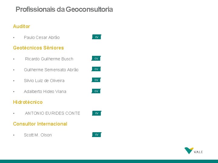 Profissionais da Geoconsultoria Auditor • Paulo Cesar Abrão CV Geotécnicos Sêniores • Ricardo Guilherme