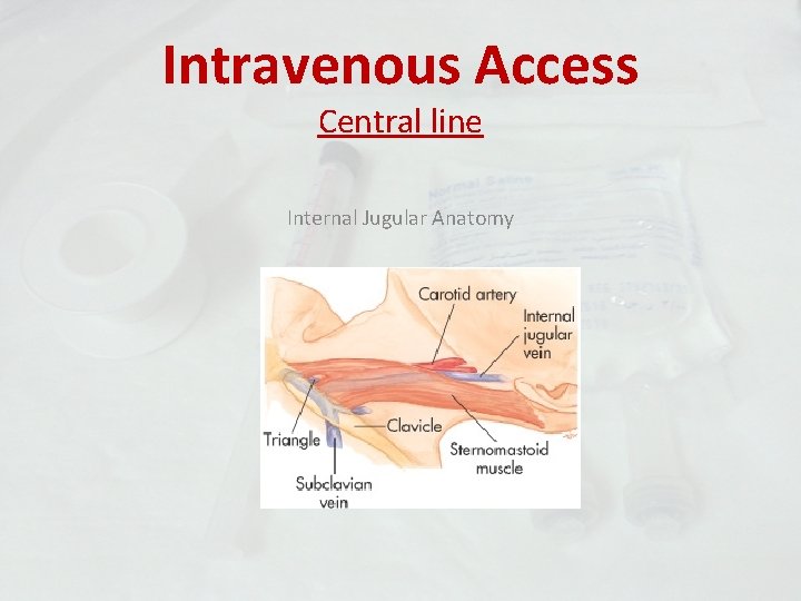 Intravenous Access Central line Internal Jugular Anatomy 