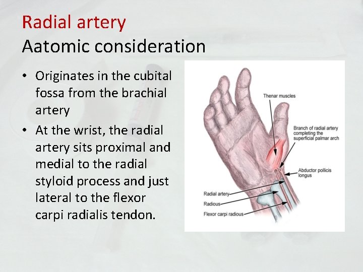 Radial artery Aatomic consideration • Originates in the cubital fossa from the brachial artery