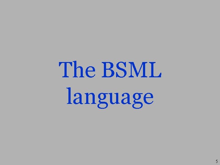 The BSML language 5 