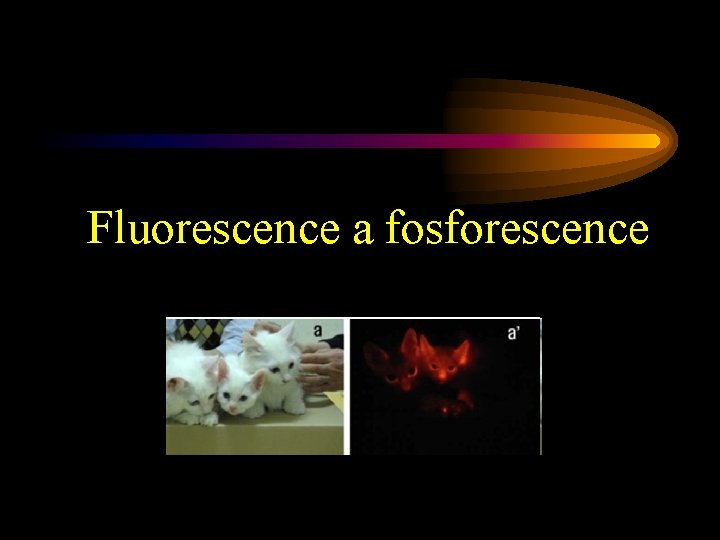 Fluorescence a fosforescence 