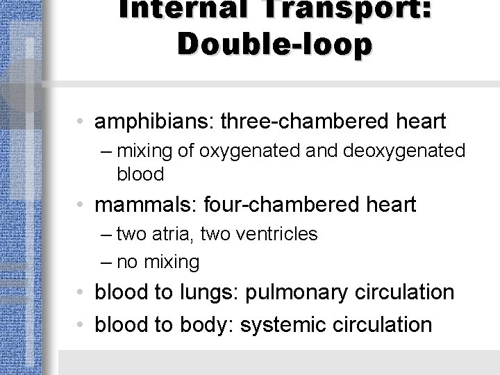 Internal Transport: Double-loop • amphibians: three-chambered heart – mixing of oxygenated and deoxygenated blood