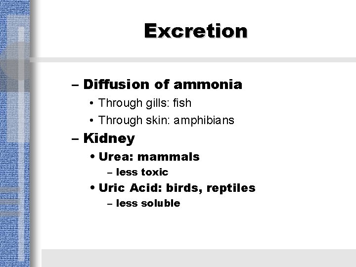 Excretion – Diffusion of ammonia • Through gills: fish • Through skin: amphibians –