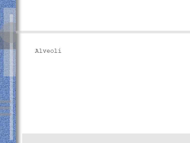Alveoli 
