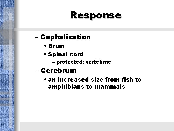 Response – Cephalization • Brain • Spinal cord – protected: vertebrae – Cerebrum •