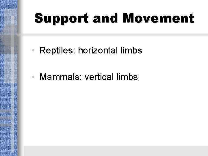Support and Movement • Reptiles: horizontal limbs • Mammals: vertical limbs 