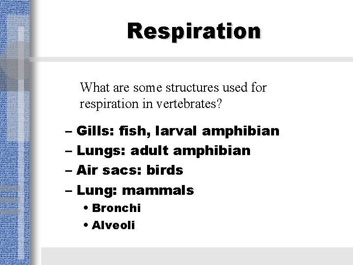 Respiration What are some structures used for respiration in vertebrates? – Gills: fish, larval