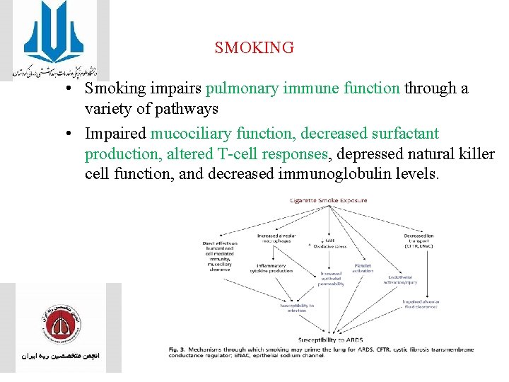 SMOKING • Smoking impairs pulmonary immune function through a variety of pathways • Impaired