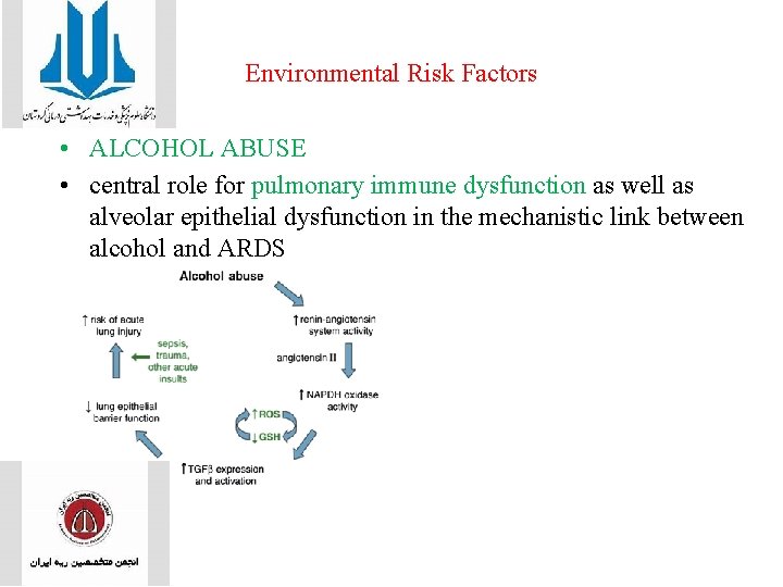Environmental Risk Factors • ALCOHOL ABUSE • central role for pulmonary immune dysfunction as