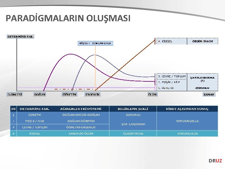 PARADİGMALARIN OLUŞMASI DRUZ 