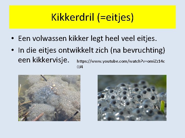 Thema 1 Wat is biologie Extra Basisstof 9