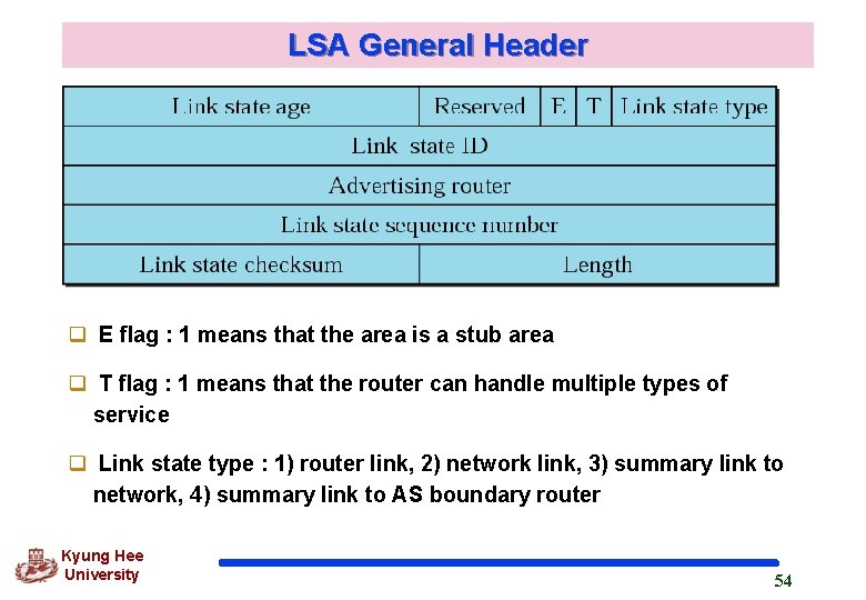 LSA General Header q E flag : 1 means that the area is a