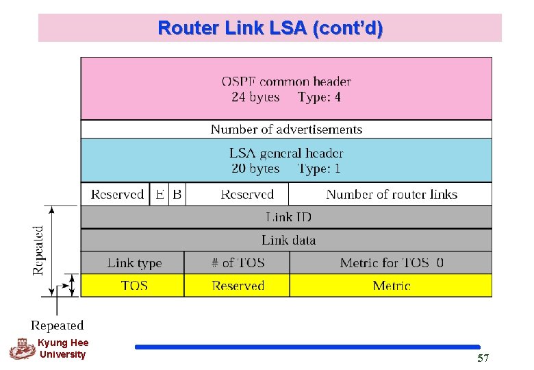 Router Link LSA (cont’d) Kyung Hee University 57 