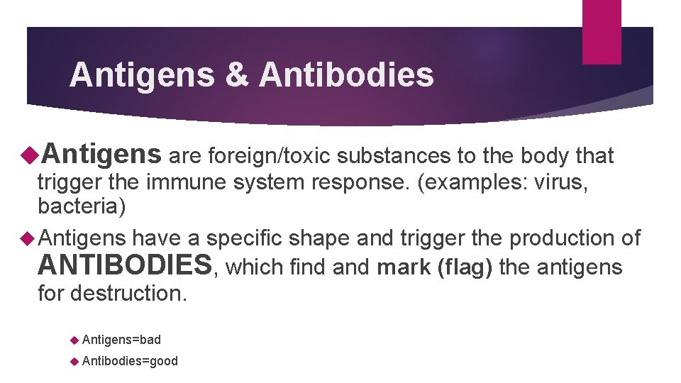 Antigens & Antibodies Antigens are foreign/toxic substances to the body that trigger the immune