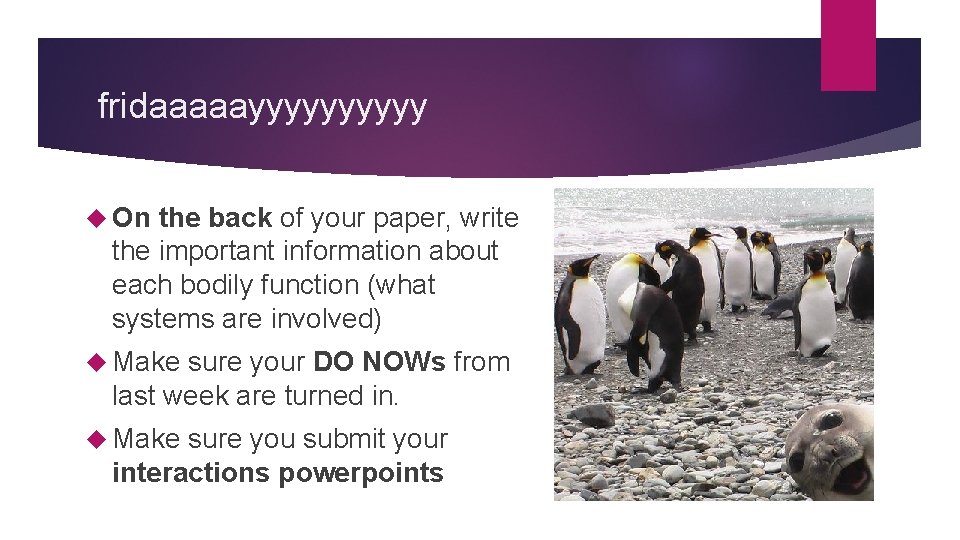 fridaaaaayyyyy On the back of your paper, write the important information about each bodily