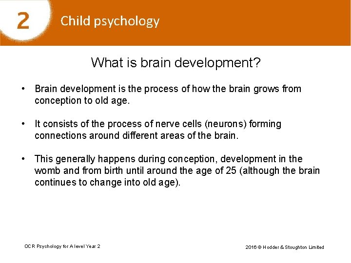 Child psychology What is brain development? • Brain development is the process of how