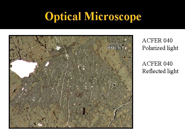Optical Microscope ACFER 040 Polarized light ACFER 040 Reflected light 