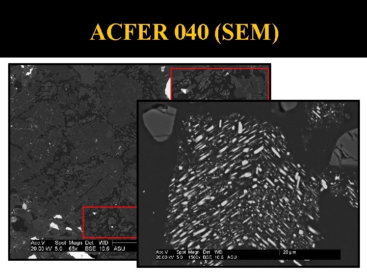 ACFER 040 (SEM) 