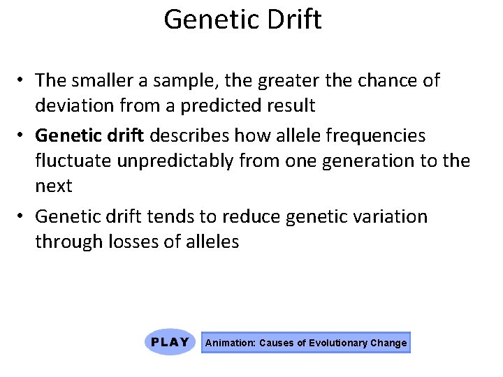 Genetic Drift • The smaller a sample, the greater the chance of deviation from
