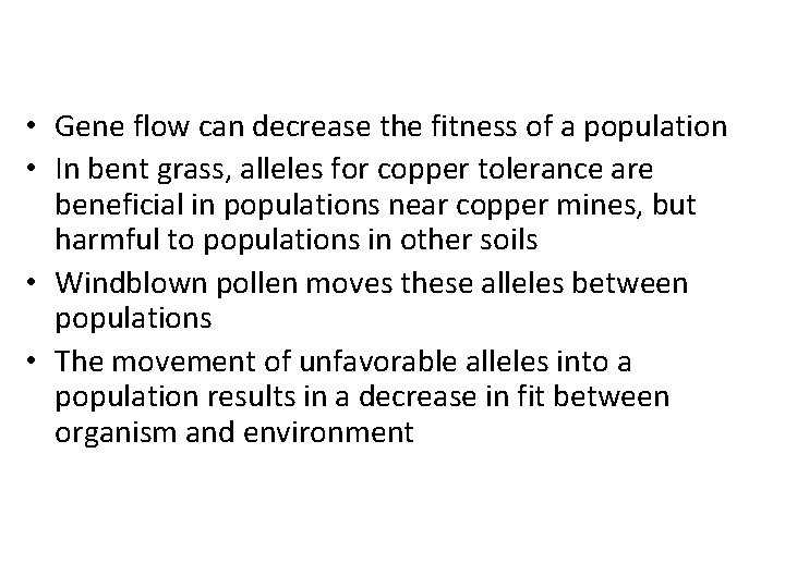  • Gene flow can decrease the fitness of a population • In bent