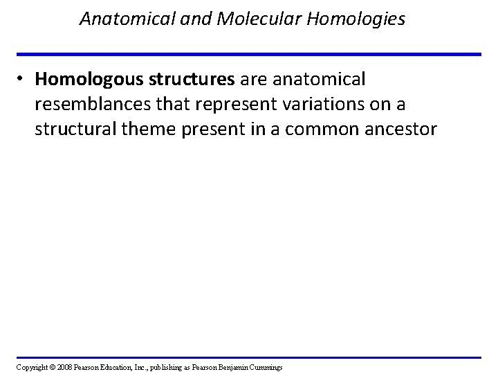 Anatomical and Molecular Homologies • Homologous structures are anatomical resemblances that represent variations on